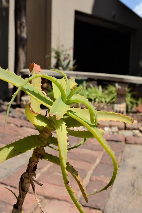 Pta East Guest House Pretoria-Noord Exteriör bild
